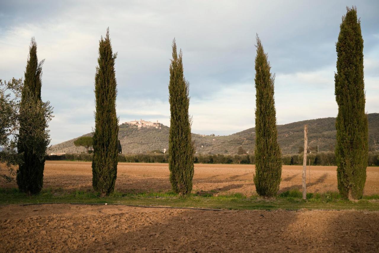 Guadalupe Tuscany Resort Braccagni ภายนอก รูปภาพ
